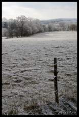 Imgp0153+.jpg