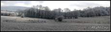 panorama.jpg