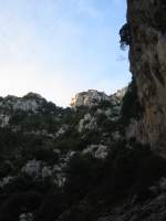 141-4146_IMG.JPG