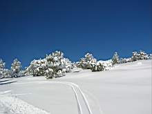 141-4147_IMG.JPG