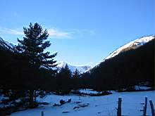 141-4182_IMG.JPG
