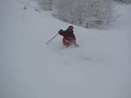 TN_145-4503_IMG.JPG