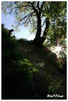 Imgp0684.jpg