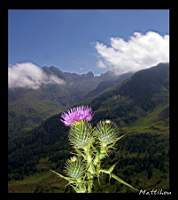 Imgp2904+.jpg