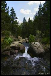 _igp4011+.jpg