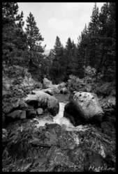_igp4012+.jpg