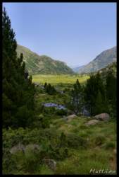 _igp4013+.jpg