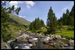 _igp4017+.jpg