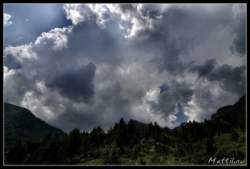 _igp4022+.jpg