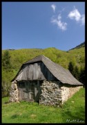 Imgp2289+.jpg