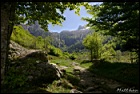 Cliquer pour agrandir