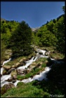 Cliquer pour agrandir