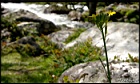 Cliquer pour agrandir