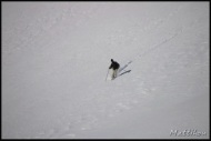 Cliquer pour agrandir