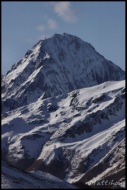 Cliquer pour agrandir