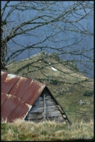 Cliquer pour agrandir