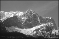 Cliquer pour agrandir