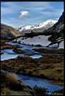 Cliquer pour agrandir