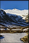 Cliquer pour agrandir