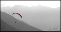 Cliquer pour agrandir