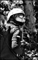Cliquer pour agrandir