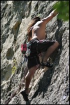 Cliquer pour agrandir