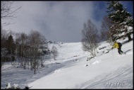 Cliquer pour agrandir