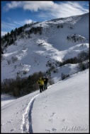 Cliquer pour agrandir