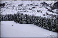 Cliquer pour agrandir