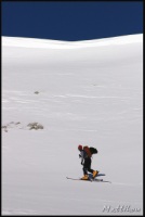 Cliquer pour agrandir
