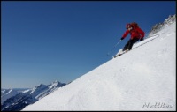 Cliquer pour agrandir