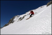 Cliquer pour agrandir