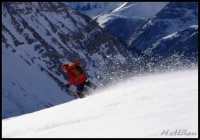 Cliquer pour agrandir
