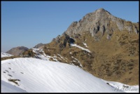 Cliquer pour agrandir