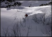 Cliquer pour agrandir