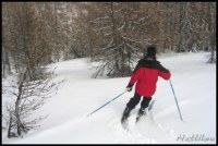 Cliquer pour agrandir