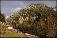 Cliquer pour agrandir