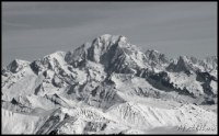 Cliquer pour agrandir