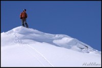 Cliquer pour agrandir