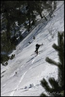 Cliquer pour agrandir