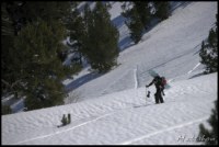 Cliquer pour agrandir