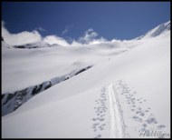 Cliquer pour agrandir