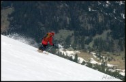 Cliquer pour agrandir