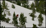 Cliquer pour agrandir