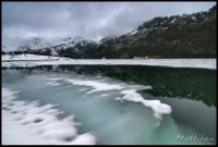Cliquer pour agrandir