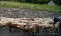 Cliquer pour agrandir