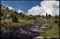 Cliquer pour agrandir