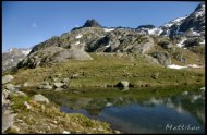 Cliquer pour agrandir