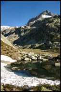 Cliquer pour agrandir