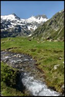 Cliquer pour agrandir